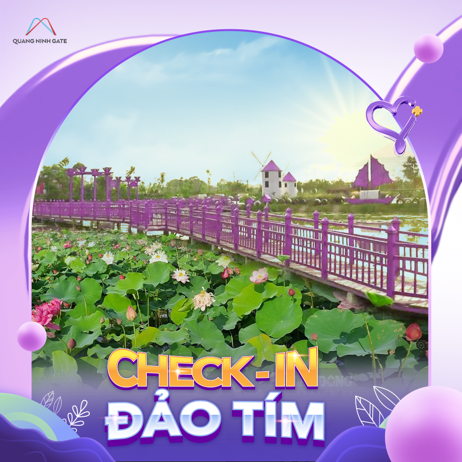 check in đảo tím