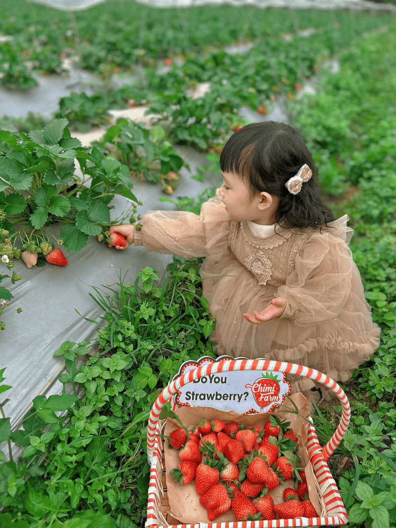 Khu vui chơi gần Hà Nội