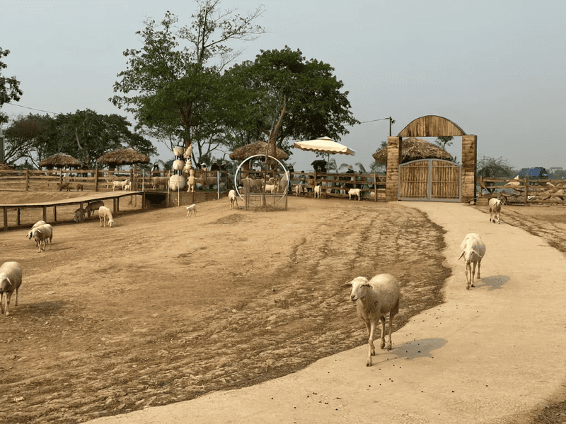 Khu vui chơi gần Hà Nội