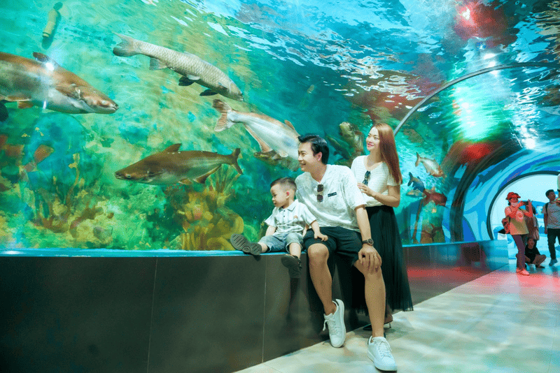 Khu vui chơi mùa hè miền bắc