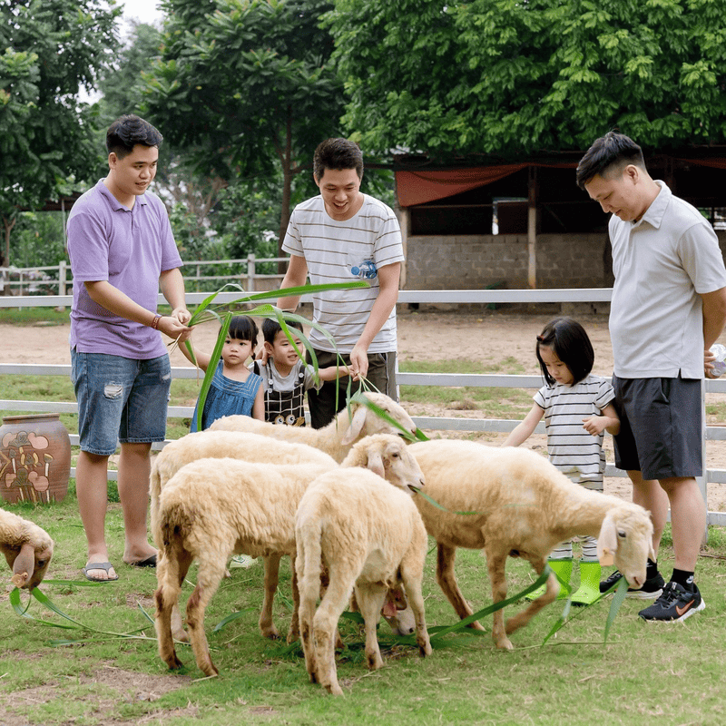 Khu vui chơi mùa hè miền bắc