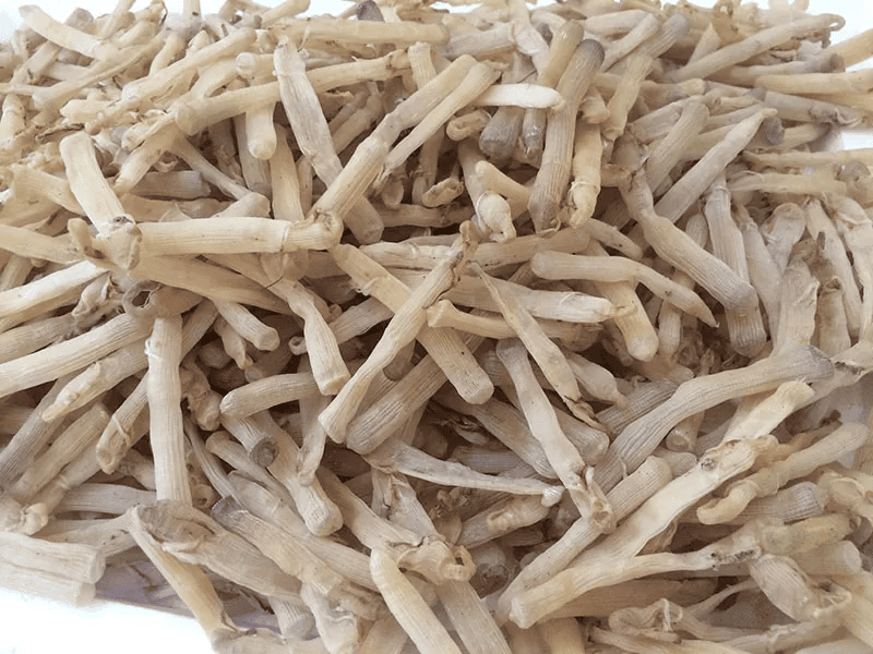 Sá sùng khô Quảng Ninh