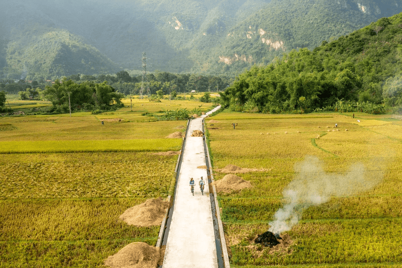 trải nghiệm học sinh THPT
