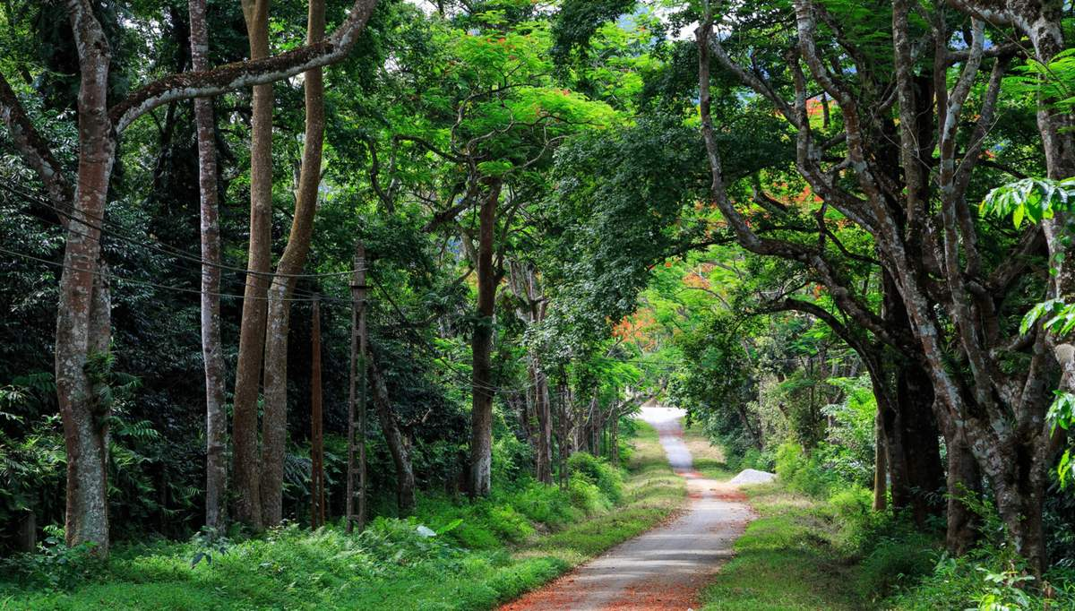 trải nghiệm học sinh gần Hà Nội